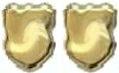 2 Gold Shields